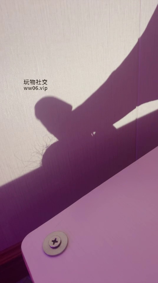 猫神大人 (27)